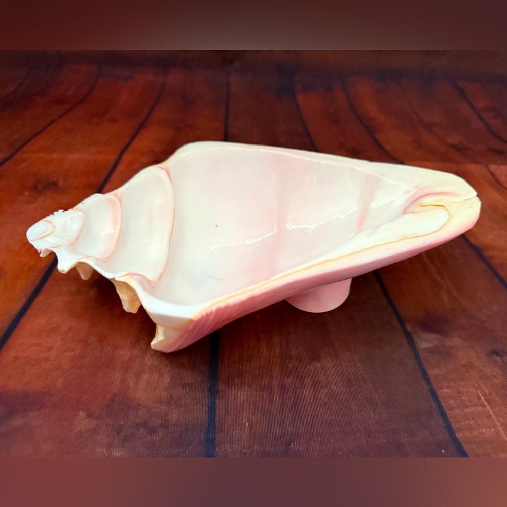 Handmade Vintage Conch Bowl Dish Jewerly Trinket Real Shell